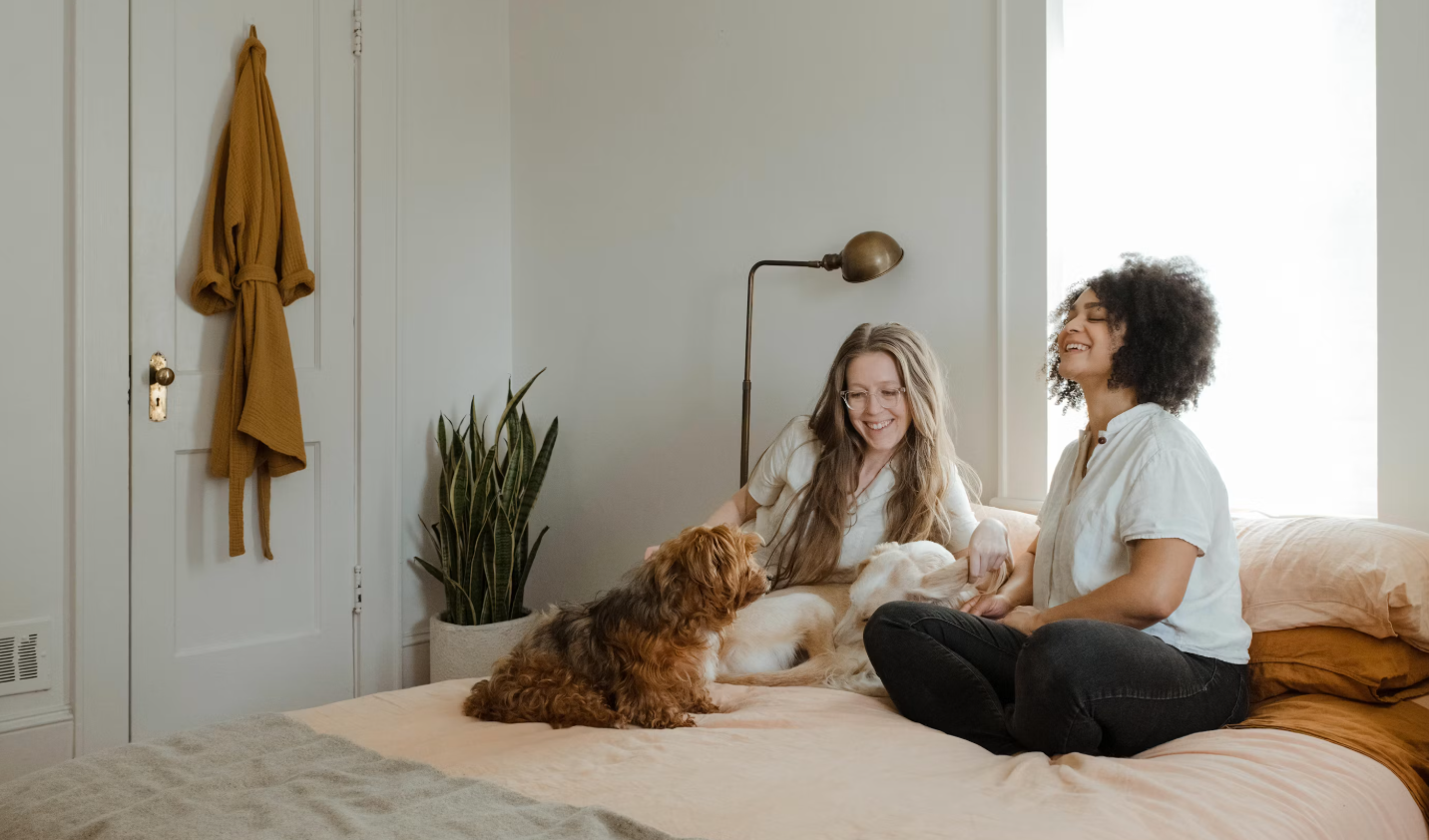 Two people relaxing at home with their dogs
